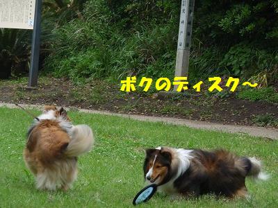 横須賀の近くの公園へ~_e0195743_2223726.jpg