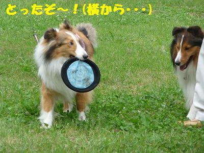 横須賀の近くの公園へ~_e0195743_224133.jpg