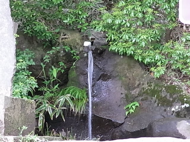 北関東　新緑の那須にて　温泉神社に行く道すがら_a0170046_1113970.jpg