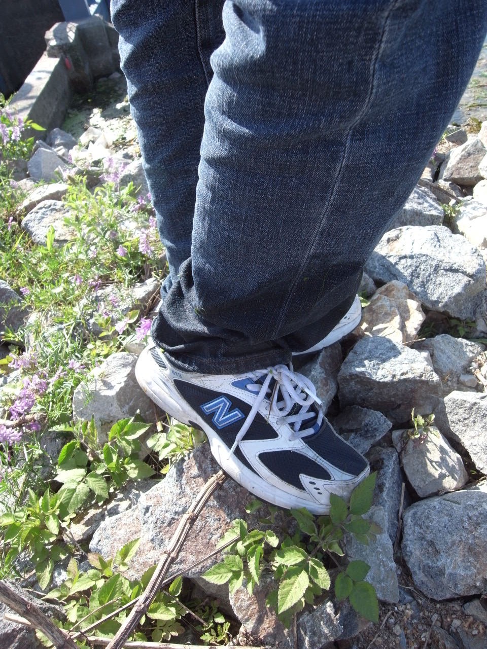 c0153951_1715372.jpg