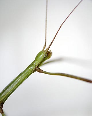 e0035757_18381374.jpg