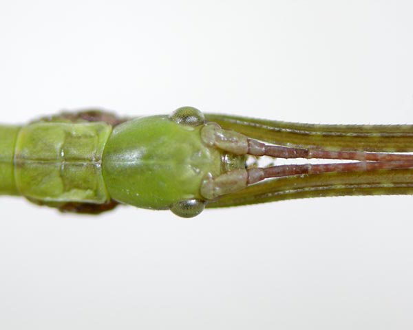e0035757_1838381.jpg