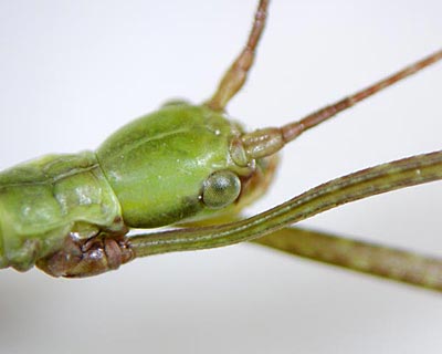 e0035757_18385466.jpg