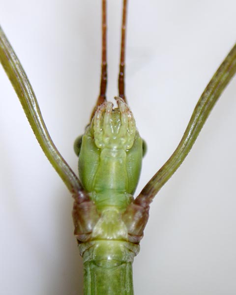 e0035757_18391762.jpg
