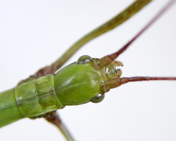 e0035757_18393217.jpg