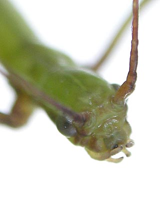 e0035757_18405324.jpg