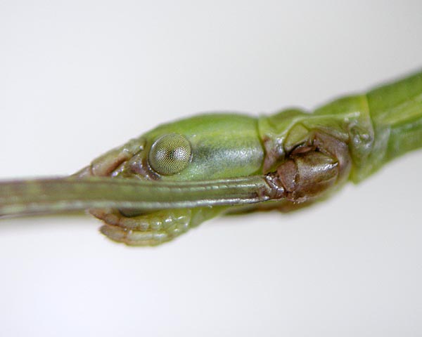 e0035757_18415056.jpg