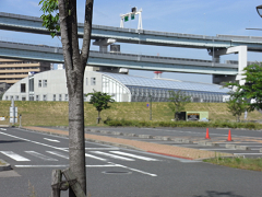 f0147759_1504878.jpg