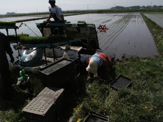 f0173161_9322590.jpg