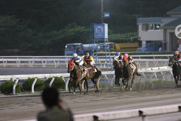 2010年5月30日（日） 高知競馬 7R いの町梅もぎとり特別 C3-1 選抜馬記者選抜_a0077663_933761.jpg