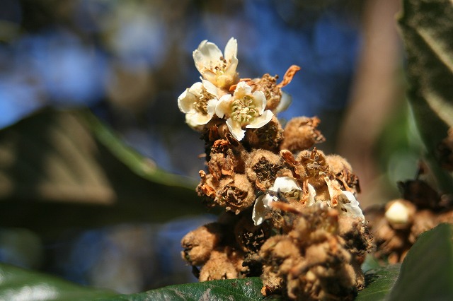 c0092263_88375.jpg