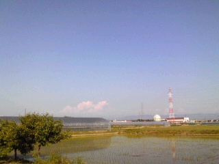d0133863_281230.jpg