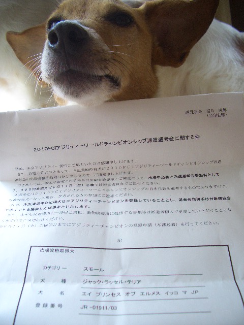 f0120770_11104429.jpg