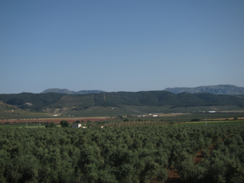 a0116772_71233.jpg