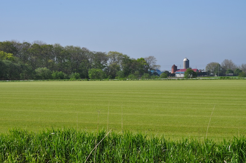 b0068572_684790.jpg