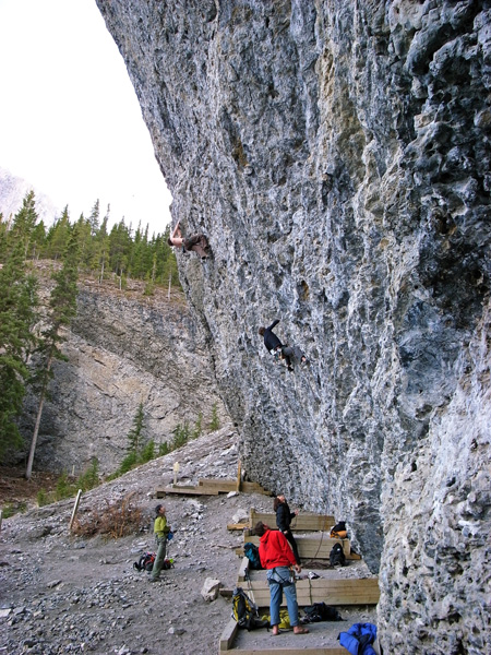 b0110880_1652869.jpg
