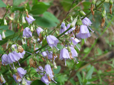 e0028387_0222166.jpg
