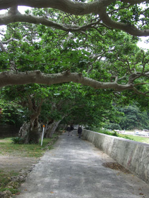 e0028387_0262821.jpg