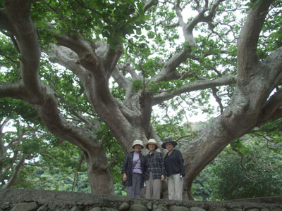 e0028387_0293764.jpg