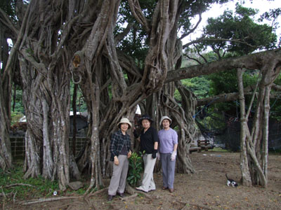 e0028387_0322627.jpg