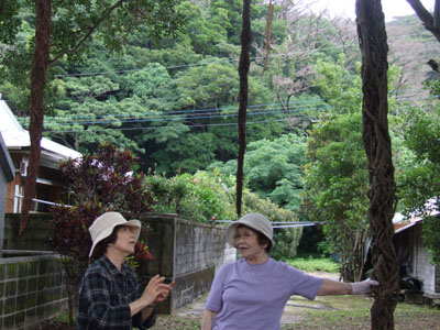 e0028387_0332038.jpg