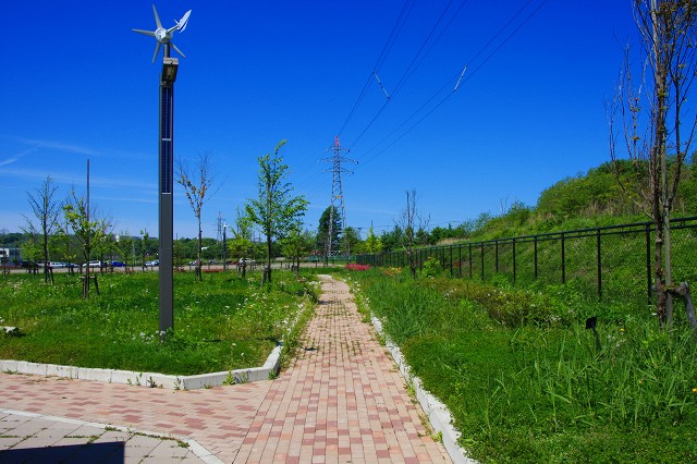 c0174593_1323256.jpg