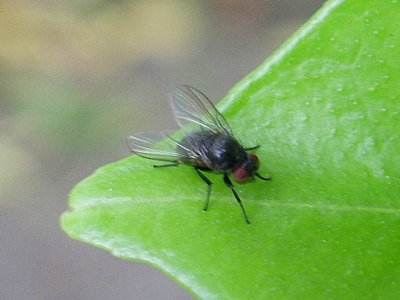 f0204094_2224986.jpg