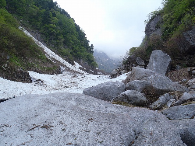 c0147398_1281637.jpg