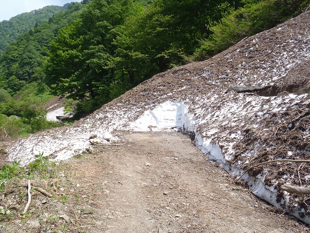 c0147398_1283340.jpg
