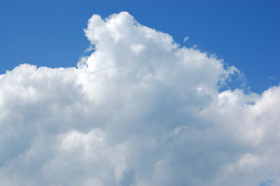 e0175702_1151063.jpg
