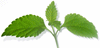 d0028304_136984.gif