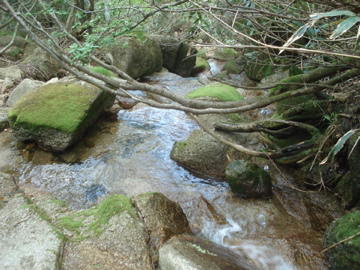 御在所岳登山_d0130209_2275225.jpg