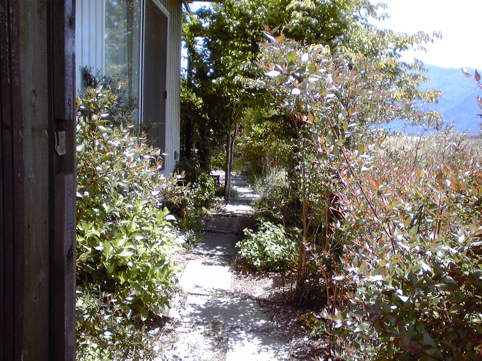 c0117610_12382421.jpg