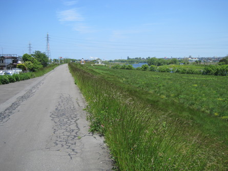 d0089212_21145423.jpg