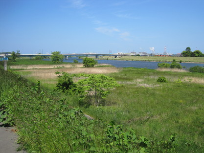 d0089212_21195854.jpg