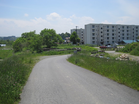 d0089212_2185410.jpg