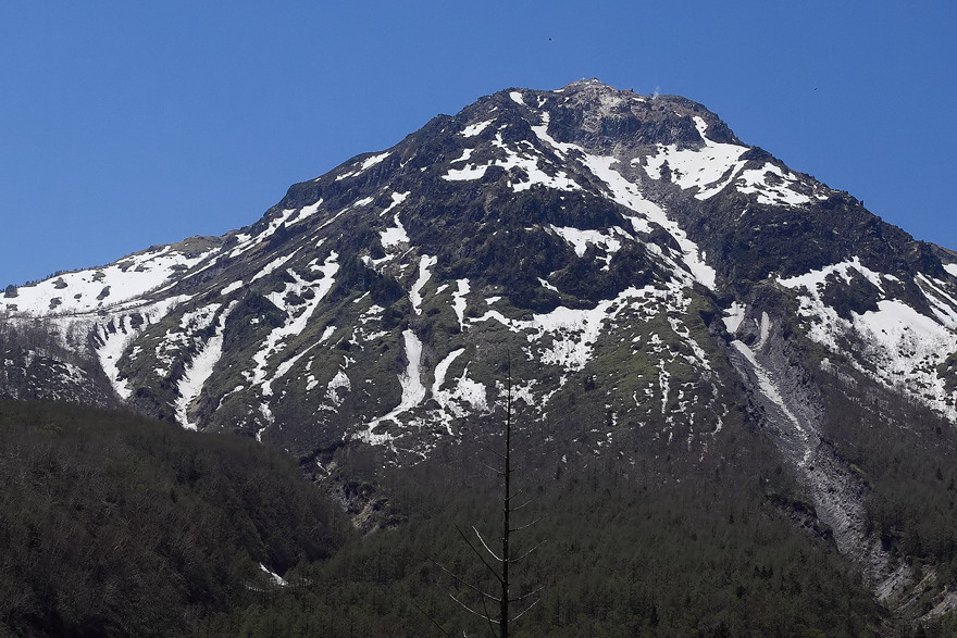 e0134814_22172315.jpg