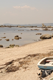 f0145916_14391119.jpg
