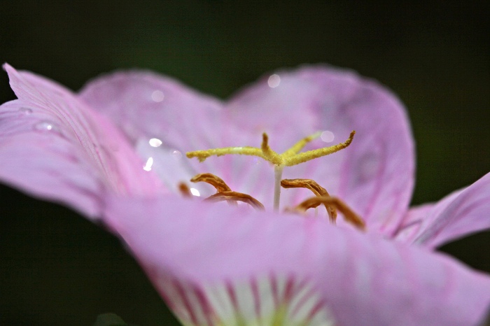 もうすぐ梅雨_f0173817_14145368.jpg