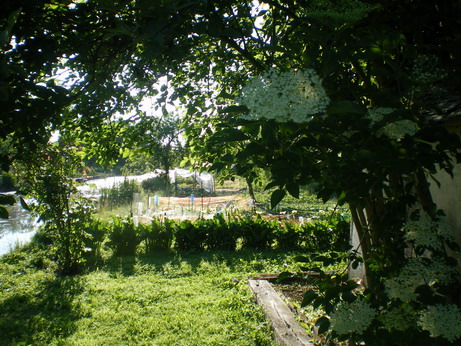 c0124619_4574139.jpg