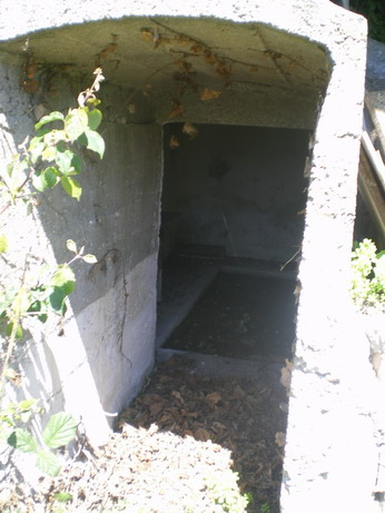c0124619_573275.jpg