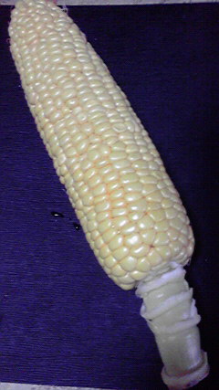 d0110022_0232231.jpg