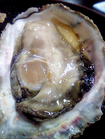 e0153022_231663.jpg