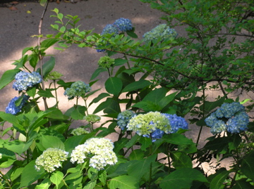 f0128723_22421651.jpg