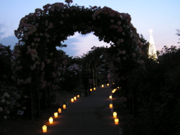f0128723_2257521.jpg