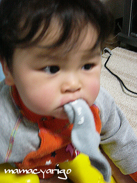 d0158925_7255580.jpg