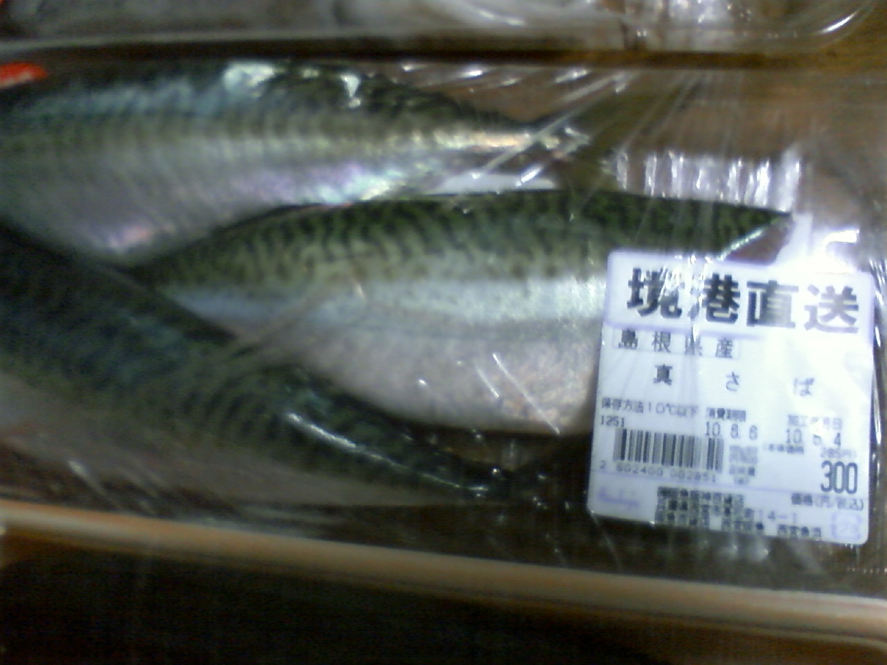 e0139926_0384761.jpg