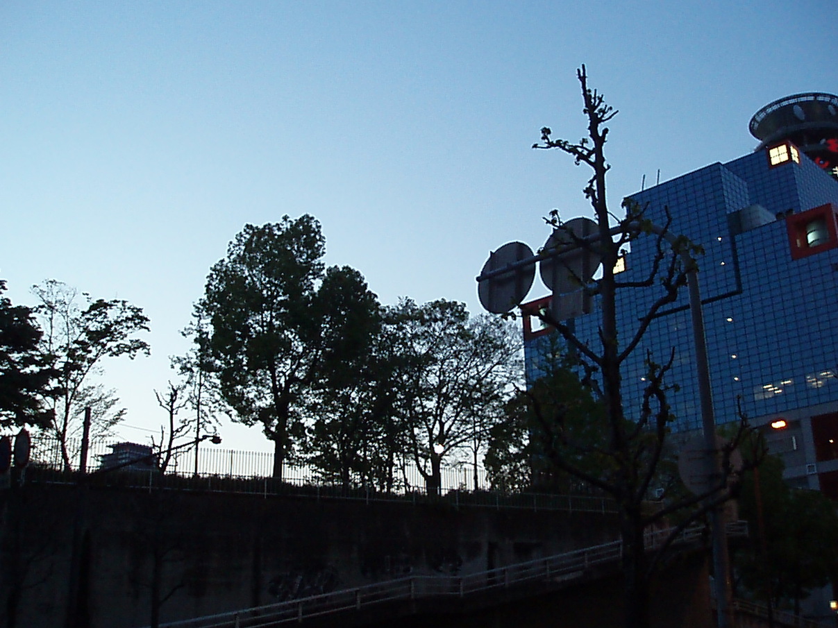 f0206529_1754766.jpg