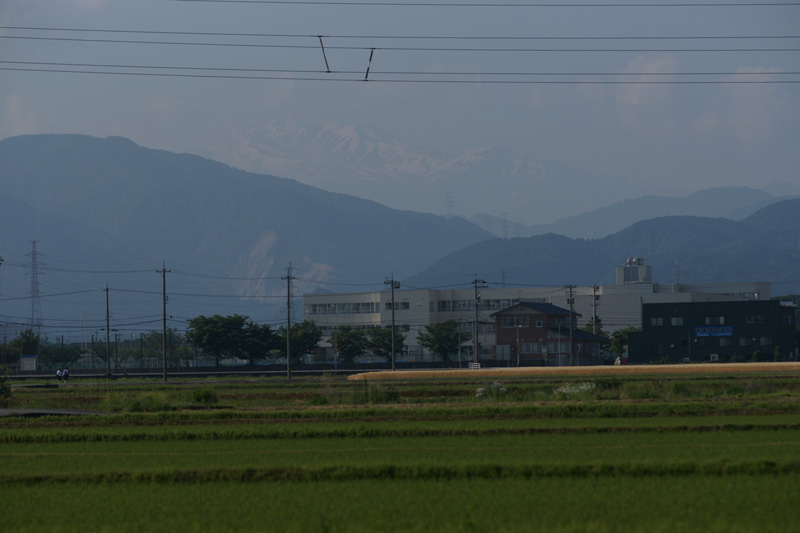b0177233_58781.jpg