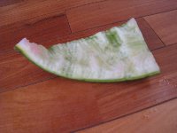 土井善男 白磁7.5寸皿 _c0204333_11141741.jpg